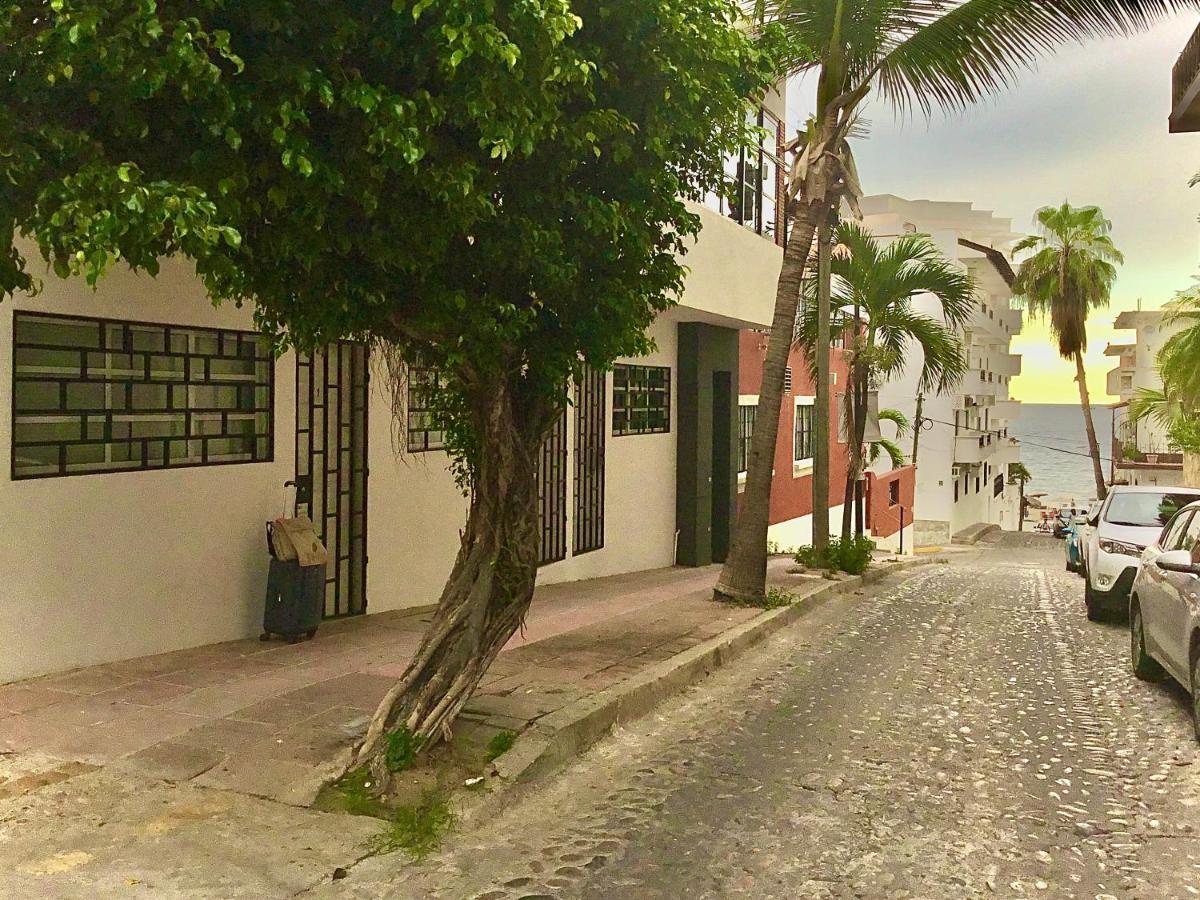 Pilitas Apartments Vallarta Puerto Vallarta Eksteriør billede
